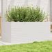 Maison Exclusive - Jardinière Blanc, 110x60x45,5 cm, bois massif, pin