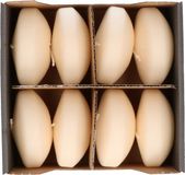 Enlightening Candles 16x Crème blanc grandes bougies flottantes 8 cm 8 heures de combustion