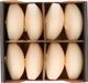 Enlightening Candles 16x Crème blanc grandes bougies flottantes 8 cm 8 heures de combustion