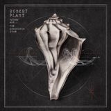 Lullaby Robert Plant Lullaby And...the Ceaseless Roar LP Limited Edition 2LP 180g