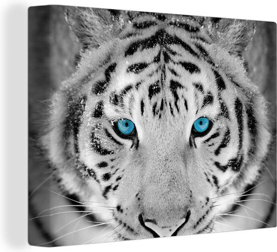 OneMillionCanvasses Canvas schilderij 160x120 cm - Tijger - Winter - Rechthoekig - Multicolor