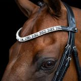 Imperial Riding IRHSlim Hoofdband, smalle leren hoofdband met glazen strass-steentjes en stiftsluiting, zwart-zilver, pony