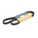 Dayco 5PK1260HD V-V-riem Poli V