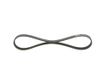 BOSCH Keilrippenriemen 1987946156