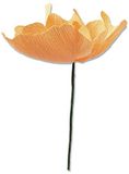 Sizzix Thinlits Matrizenset 5PK California Poppy van Lisa Jones, 664921, Multicolor, One Size