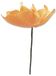 Sizzix Thinlits Matrizenset 5PK California Poppy van Lisa Jones, 664921, Multicolor, One Size
