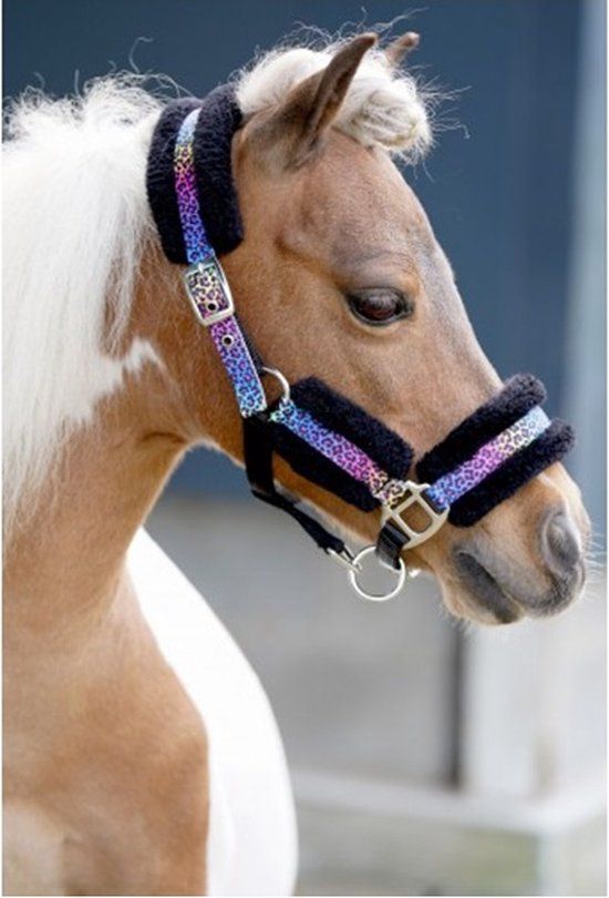 HB Halster Litte Sizes Funny - Rainbow - Shetland - Paard
