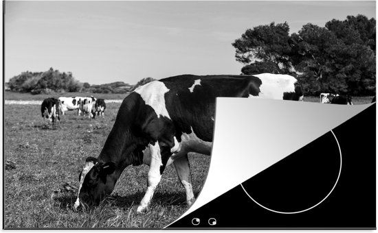 KitchenYeah® Inductie beschermer 77x51 cm - Friese koeien zwart wit