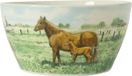 Wiebe van der Zee Kom 13 cm Paard