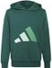 Adidas Essentials Hoodie Groen 11-12 Jaar Unisex Kinderen