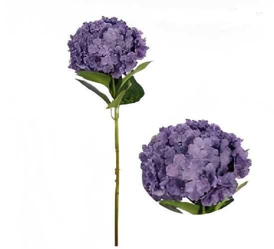 Buitengewoon Boet Buitengewoon de Boet Kunst hortensia tak paars 92 cm