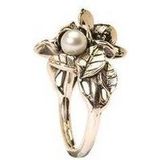 Trollbeads TAGRI-00221 Hagendoorn Ring Zilver Maat 55