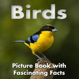 Birds Picture Book with Fascinating Facts: Birds Coffee Table Book | Birds Book for Kids and Toddlers