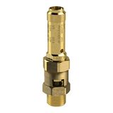 RIEGLER 105017-229.05-2,5 veiligheidsventiel, messing, G 1 1/2, responsdruk 2,5 bar, 1 stuk