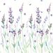 Paperdesign Servetten Lavendel - 20 stuks - 3 laags - 33 x 33 cm - Bloemen