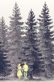 The K.T. Collins The Slow Dance: Pine Lake Series Book One Paperback