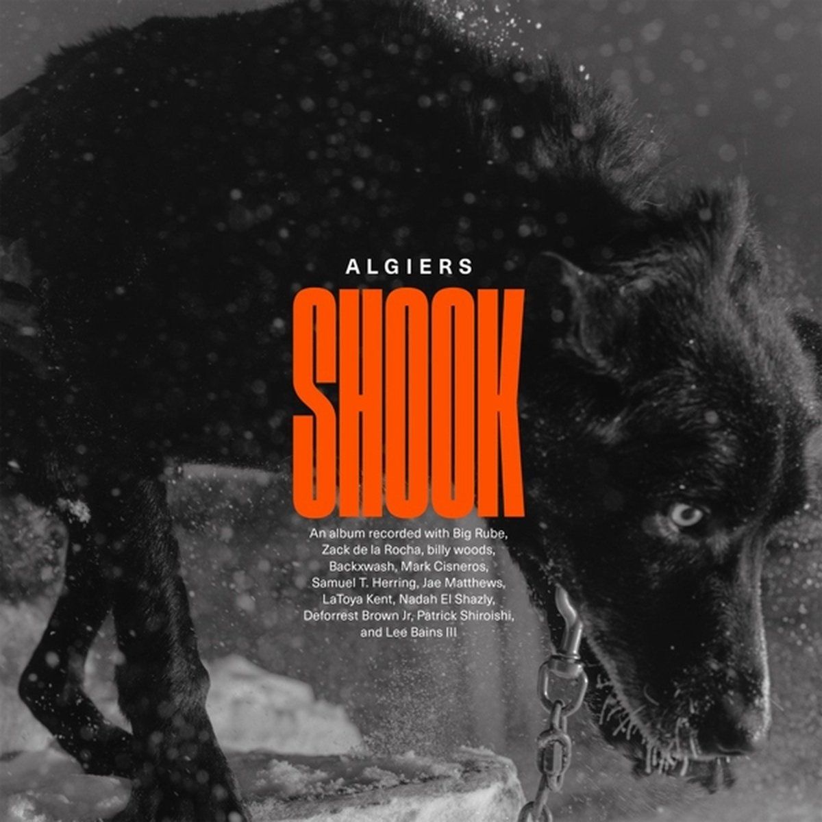 Matador Shook - Muziek