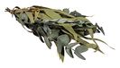 Rayher Eucalyptustakken, boeket met papieren hoes, 30-35 cm, gedroogde bloemen, natuurlijke decoratie, gedroogde eucalyptusbladeren, eucalyptusbladdecoratie, 85493000