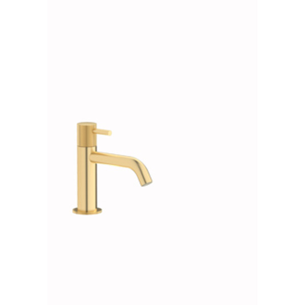 Plieger Roma 1-gats toiletkraan met vaste uitloop geborsteld goud ID458 BRUSHED GOLD