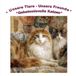 Unsere Tiere - Unsere Freunde: *Geheimnisvolle Katzen*
