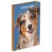 DRAEGER PARIS Zakagenda A6, speciaal voor honden januari dec 2024, 12 foto's, 11,5 x 16 cm, hardcover, bladwijzer, 7 talen, 1 week op 2 pagina's, FSC®-gecertificeerd papier