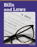 Bills Capstone Value Library Foundations of U.S. Government- Bills and Laws Hardcover