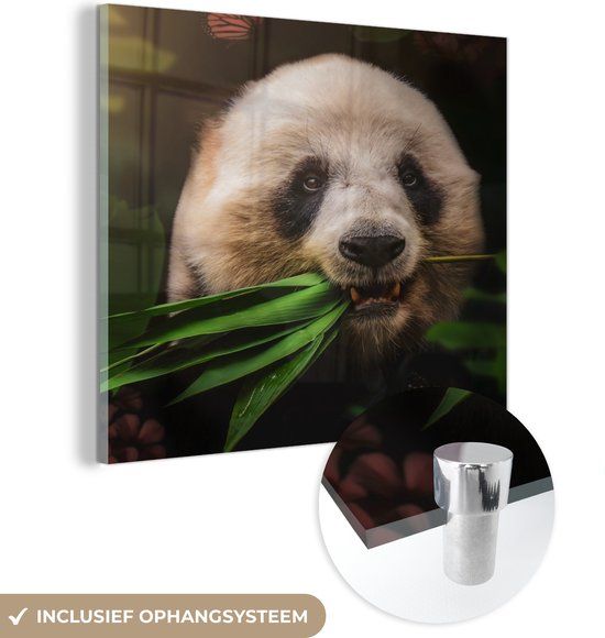 MuchoWow® Glass Painting 90x90 cm - Acrylic Glass Painting - Animals - Panda - Jungle - Photo on Glass - Paintings