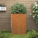 Maison Exclusive - Jardinière en acier Corten, dimensions 52x48x75 cm