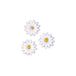 Rayher - Wasmotief Margrieten, 2,5 cm, 6 stuks