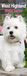 West Highland White Terrier Slim Kalender 2027