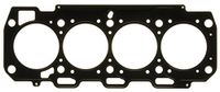 Gasket, Icecat Gasket, cylinder head
