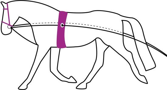 QHP Dubbele Longeerlijn - Black - Onesize