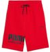 Puma Sport Graphic Shorts Tr 69223211, herenmodel
