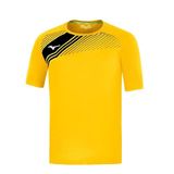 Mizuno Jersey Team Game Iwata