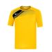 Mizuno Jersey Team Game Iwata