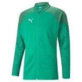 Puma Team Cup Trainingsvest Heren - Groen | Maat: L