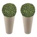 WellHome Dubbelpak bloempot Rat 27 liter met opbergruimte 30 x 30 x 57,2 cm in Mokka + buxusbal Ø 36 cm