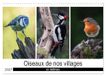 Oiseaux Calvendo Oiseaux de nos villages en Gâtinais (Calendrier mural 2027 DIN A3 vertical), CALVENDO calendrier mensuel