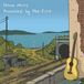 V2 Red Eye Laura Veirs Troubled By The Fire LP