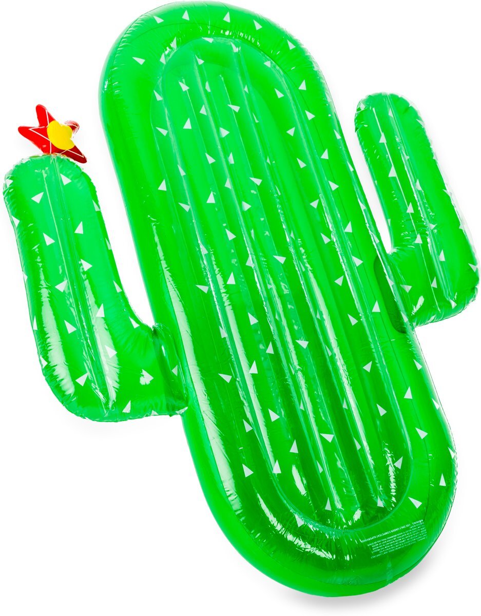 didak pool Luxe Cactus