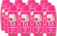 Fa Pink Passion Douchegel 12x250ml - Voordeelverpakking