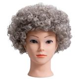 Grijs Afro Grijs Krullend Bouncy Haar Fancy Dress Party Kostuum Disco Accessoire Unisex 60s 70 S 80s Thema
