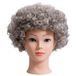 Grijs Afro Grijs Krullend Bouncy Haar Fancy Dress Party Kostuum Disco Accessoire Unisex 60s 70 S 80s Thema