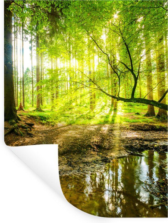 StickerSnake Muursticker - Bos Landschap - 30x40 cm - Zelfklevend Behang