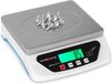Steinberg Balance numérique - 25 kg/1 g - Basic