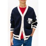 Tommy Hilfiger Boys Varsity Graphic V-neck Dark Night Navy Taille: 14Y