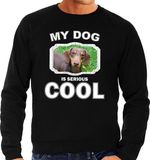 Bellatio Decorations Teckel honden trui / sweater my dog is serious cool zwart - heren - Teckels liefhebber cadeau sweaters XXL