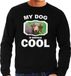 Bellatio Decorations Teckel honden trui / sweater my dog is serious cool zwart - heren - Teckels liefhebber cadeau sweaters XXL