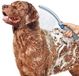OEM Lumehelbed Handels GmbH Huisdierwasborstel & Douchesproeier — Massage-douchekop voor katten en honden — Verstelbare sproeikop — Reinigingssproeier — 2,5 meter