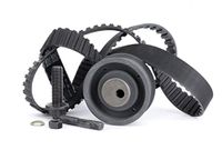 INA 530 0002 10 tandriemset